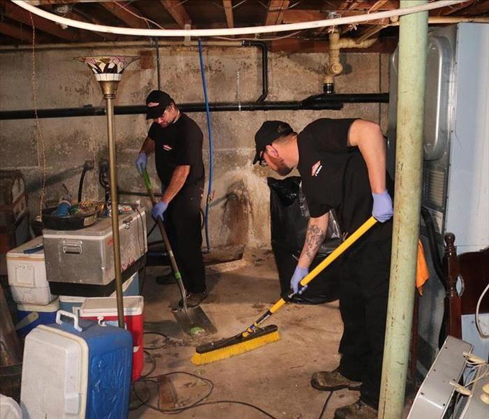 Animal Feces Cleanup in Marble Hill, NY Home