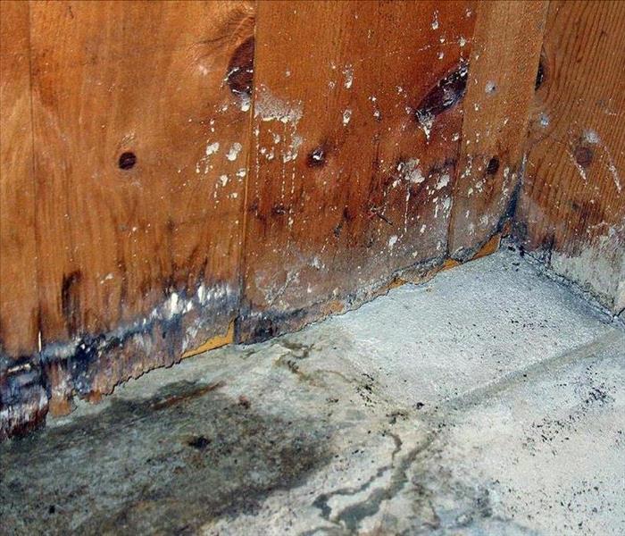 What To Do When Your Dunwoodie, NY House Experiences Water Damage